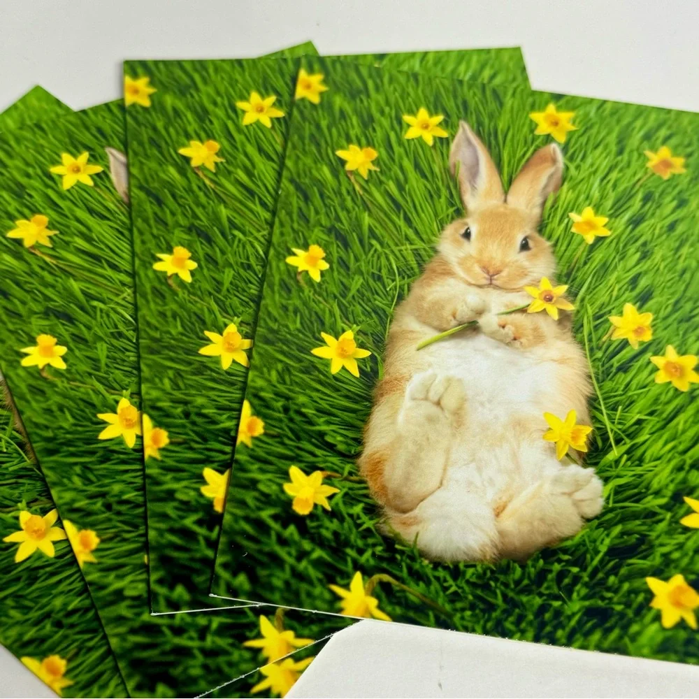 4 Avanti Greeting cards - bunny on back with flowers Holiday: Easter